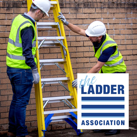 Ladder and Stepladder Inspection