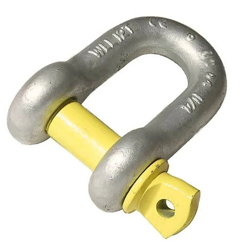 Lifting D-Shackle