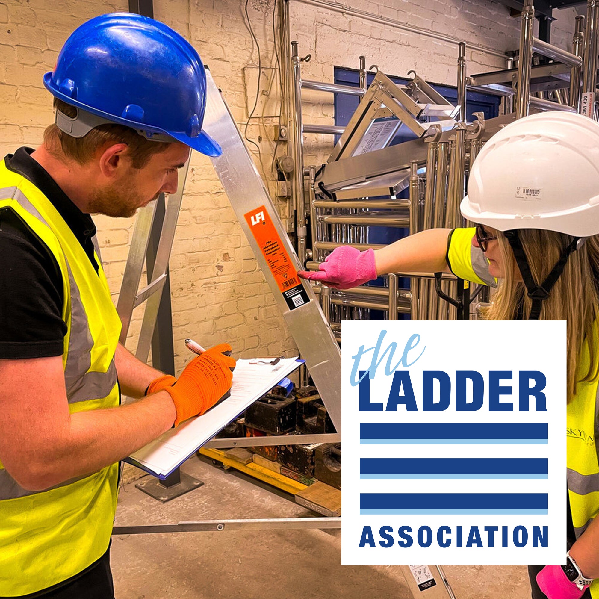 Ladder Users Ladders And Stepladders (Combined User & Inspection) – My Store
